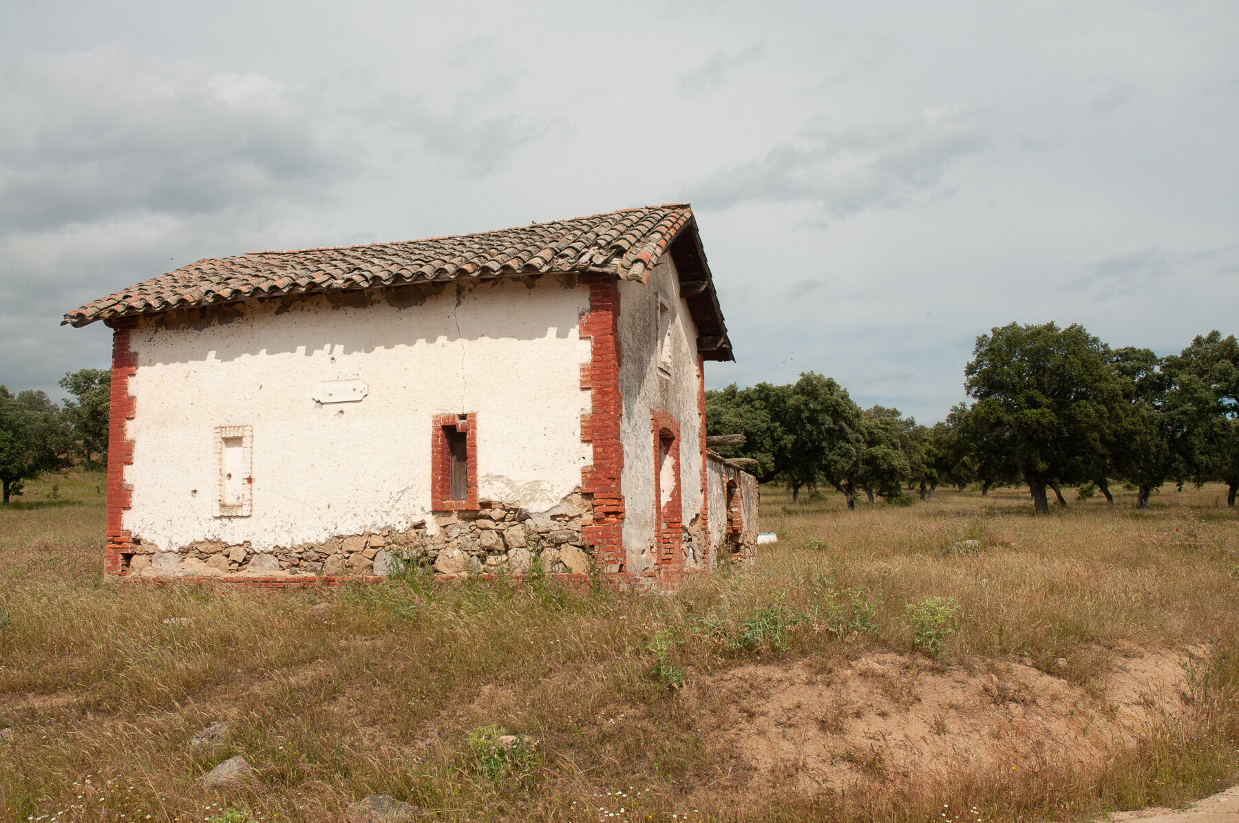 El ferrocarril minero